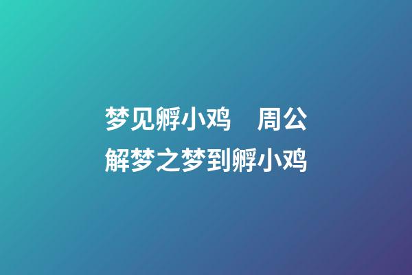 梦见孵小鸡　周公解梦之梦到孵小鸡